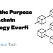 What is the Purpose of Blockchain Technology Everfi